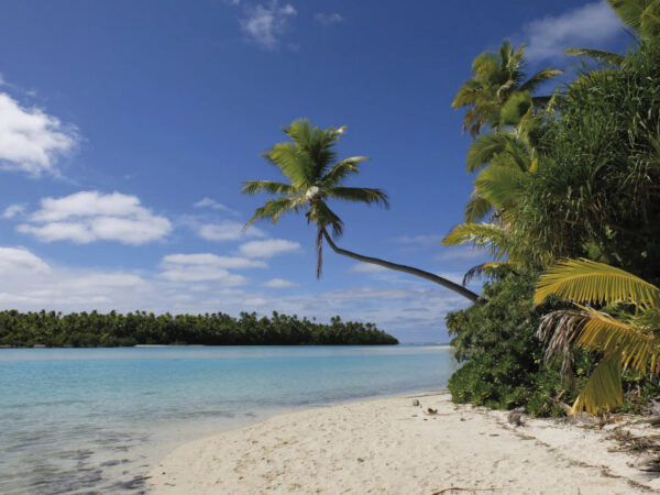 Ein weißer Sandstrand am blauen Meer, über den eine Palme herausragt