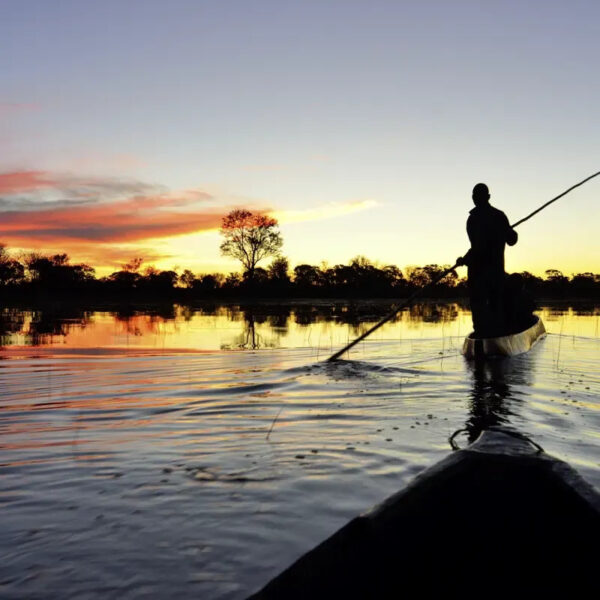 Jemand gleitet in einem schmalen Boot durch die Wasserwildnis am Okavango